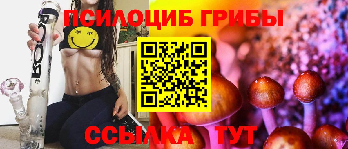 Псилоцибиновые грибы GOLDEN TEACHER Кудымкар