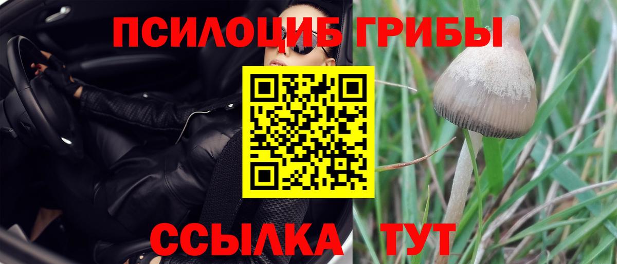 Галлюциногенные грибы ЛСД  Вход с VPN  Кудымкар 